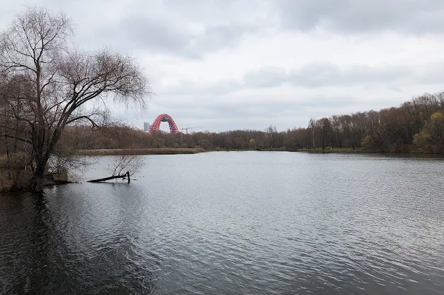 Серебряный бор, озеро Бездонное, Живописный мост