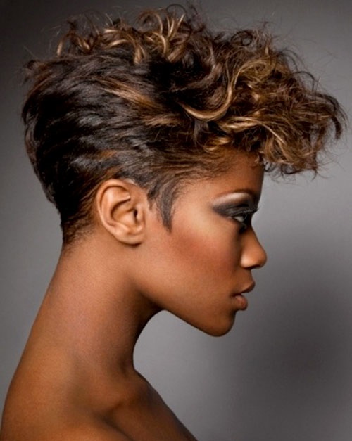  and Ideas : Elegant Short Curly Hairstyles for Black Women Over 50