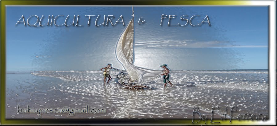 AQUICULTURA  &  PESCA