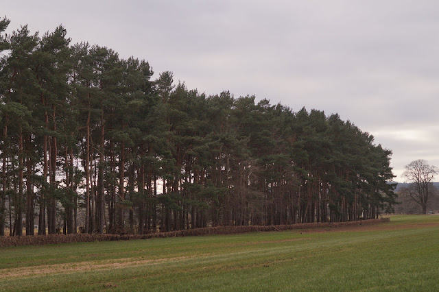 circular walk to Edenhall