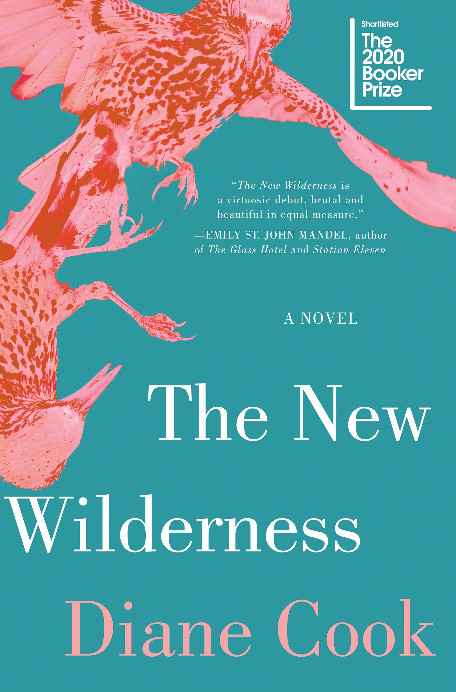 The New Wilderness