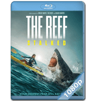 THE REEF: STALKED (2022) 1080P HD MKV INGLÉS SUBTITULADO