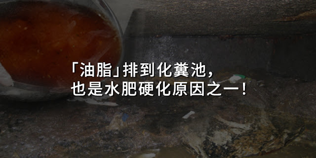 油脂排到化糞池也是水肥硬化原因之一