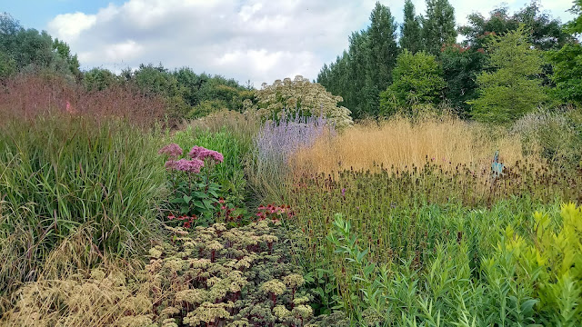 Border in de Vlinderhof eind augustus met een grote groep Sedum telephium 'Matrona' naast het siergras Panicum virgatum 'Shenandoah'