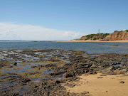 European sea spurge invades island beaches (img red)