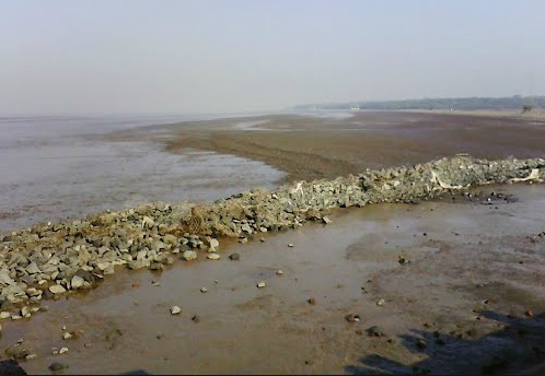 Marshy area in Dumas Beach