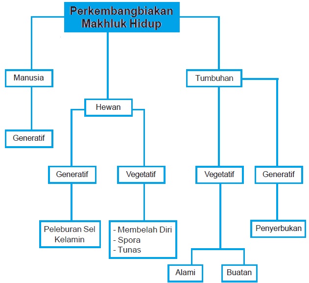  Perkembangbiakan  Makhluk Hidup Pelajaran IPA SD Kelas 6 