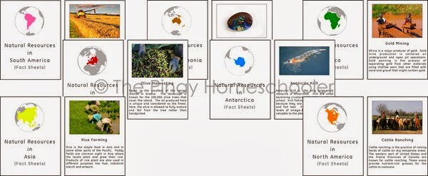 factcards