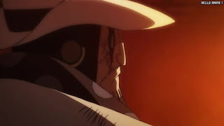 ワンピース アニメ 1069話 ゲルニカ | ONE PIECE Episode 1069