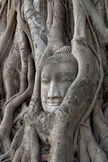 ayutthaya wat mahathat