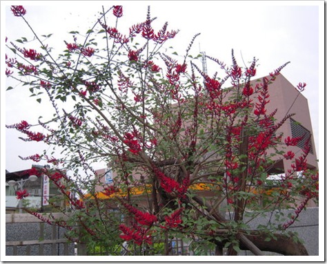clip_image002