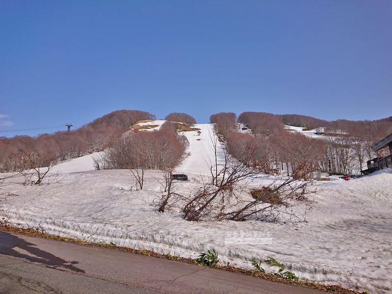 青森滑雪場,八甲田滑雪場,日本樹冰