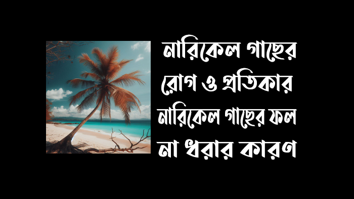 নারিকেল গাছের রোগ ও প্রতিকার জেনে নিন