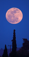 First Full Moon Of Spring Tonight