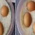 Coba Deh Kamu Taruh Telur Mentah ke Dalam Beras,Hasilnya Bakal Buat Kamu Melongo dan Akan Keterusan Melakukan Hal Ini !!