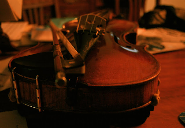 violin