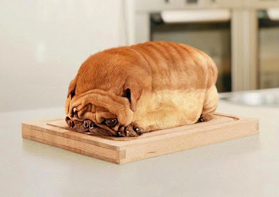 bulldog loaf of bread