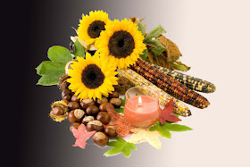 nice-flowers-pop-corns-all-the-things