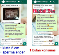 Herbal Bee Untuk Kista