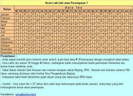 Dalam ijab kabul pastilah akan mendambakan lahirnya soerang anak 11 Metode dan Cara mendapat jenis kelamin anak yang diinginkan