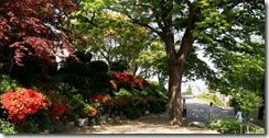 Asan-Gongseri Church02