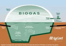 Geliat Membumikan Biogas di Pulau Dewata