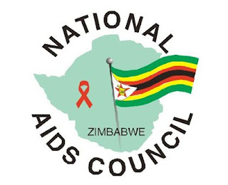 National Aids Council of Zimbabwe claims unmarried women contributes to the spread of HIV/AIDS