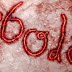 Yuk, Kenali Seputar Virus Ebola!