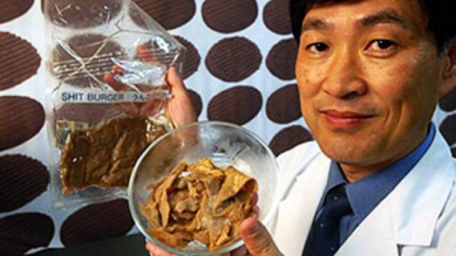 Cientista japonês cria hambúrguer saudável de fezes humanas