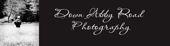 down abby road photography
