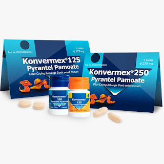 Konvermex