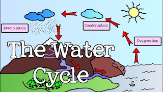 https://www3.epa.gov/safewater/kids/flash/flash_watercycle.html