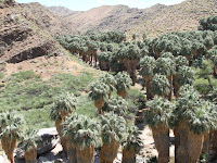 Moorten Botanical Garden 1701 S Palm Canyon Dr Palm Springs Ca 92264