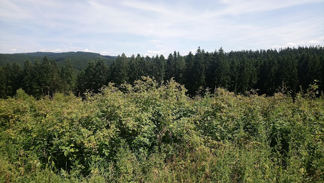 Sauerland wandern Wetter blog Schmallenberg Hunau X25 Hunauweg Höhenflug