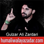 https://humaliwalaazadar.blogspot.com/2019/09/gulzar-ali-zardari-nohay-2020.html