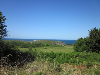 Camino a San Antolín