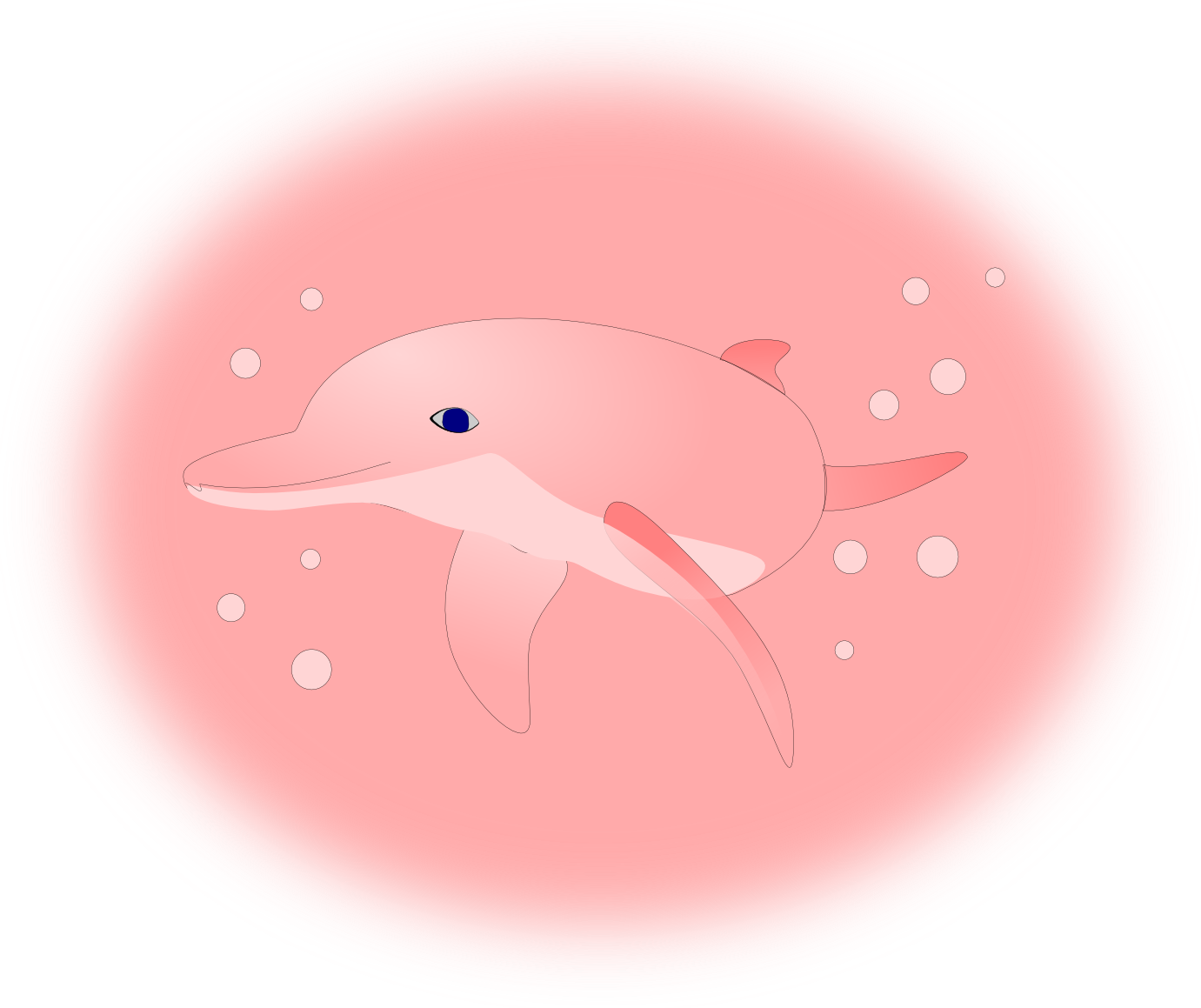 Pink Dolphin