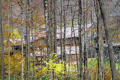 Wooden building of Lumber Museum sawmill is visible through a stand of aspen trees with skinny trunks and a few fall leaves still hanging on