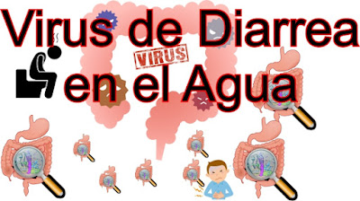 virus de diarrea en el cuarto