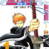 Synopsis Bleach