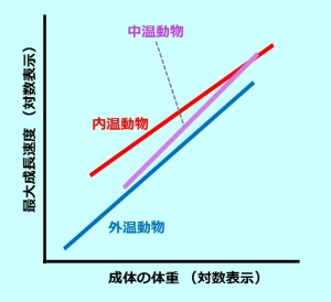 恐竜の話題 16 恐竜は中温動物 変温動物 恒温動物 そして中温動物とは