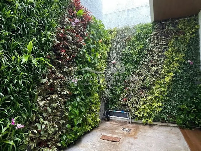 Tukang Vertical Garden Kepulauan Selayar - Jasa Taman Vertikal Berpengalaman Tukang Vertical Garden Kepulauan Selayar - Jasa Taman Vertikal Berpengalaman