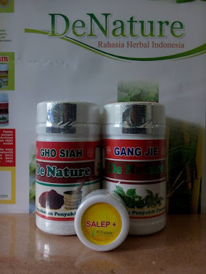 Obat Herbal Sipilis