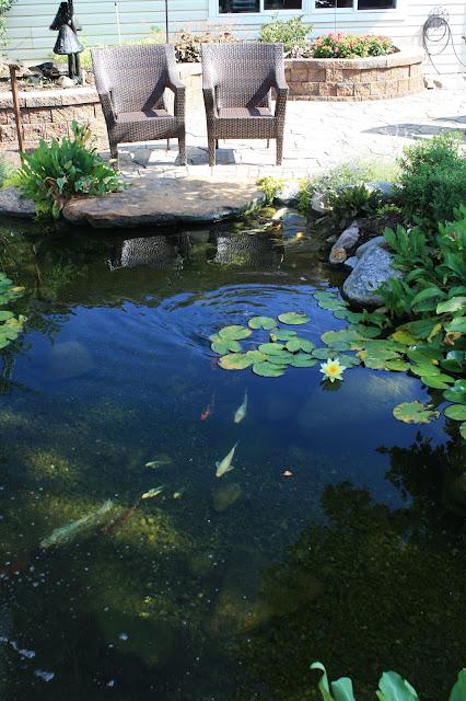 ideal pond depth