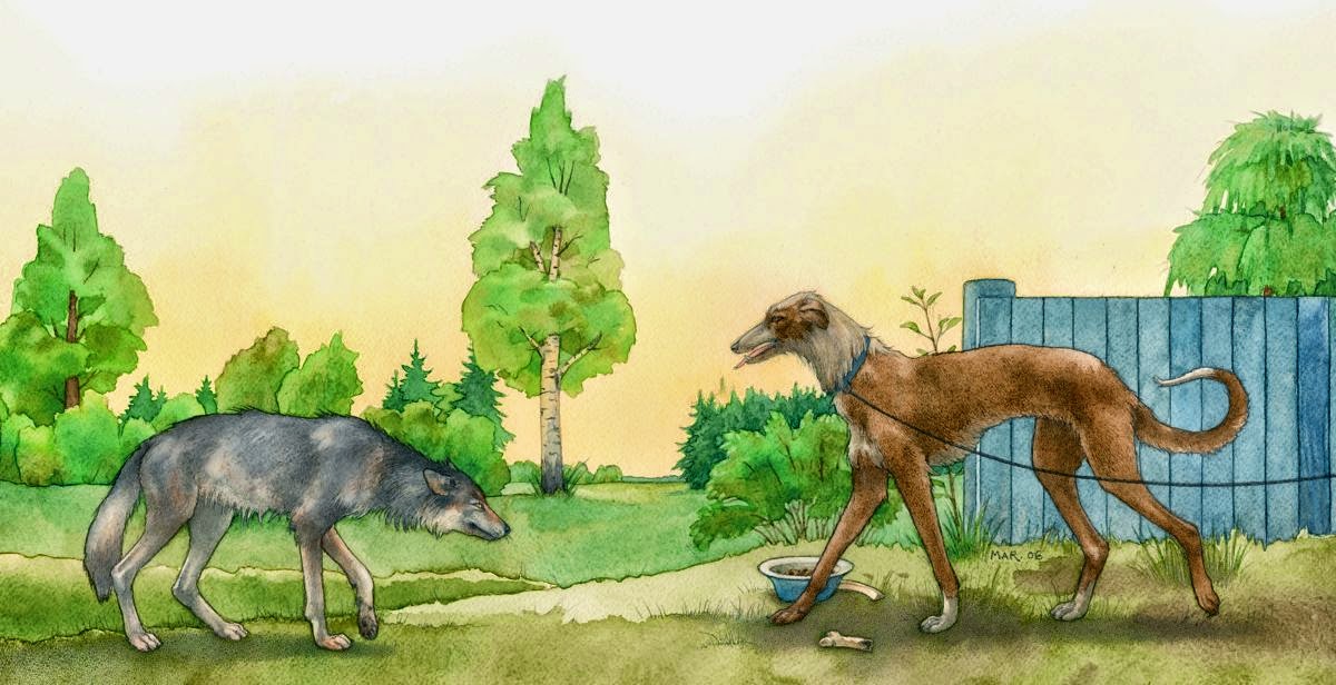 Maksud Rumah Anjing Dalam Bahasa Inggris