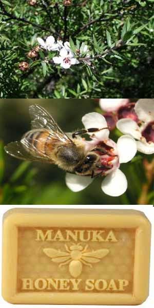 Manuka honey soap