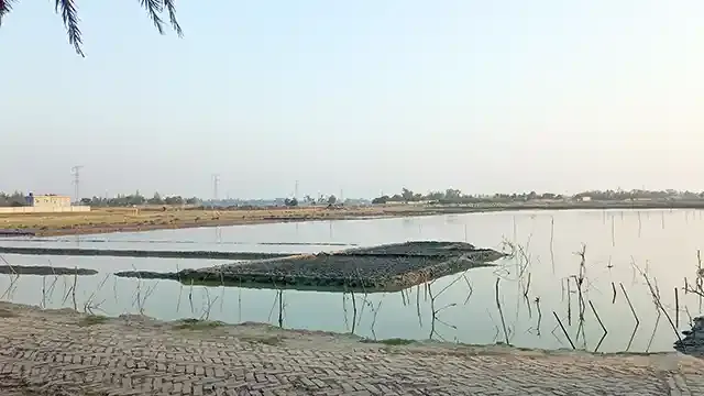 বিলুপ্তপ্রায় ঐতিহাসিক মালেকা বানুর দিঘী এখন লবণ মাঠ ও মাছের ঘের