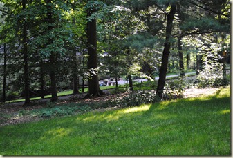 2010-29-5 (13)
