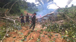 Personel Satgas Pamtas RI-Malaysia Yonarmed 19/105 Trk Bogani Bantu Warga Evakuasi Pohon Tumbang Di Jalan Desa Wilayah Perbatasan RI-Malaysia