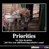 Priorities. 1st take the picture. 2nd save your child from being eaten by a camel